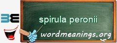 WordMeaning blackboard for spirula peronii
